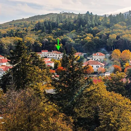 Forest Appartement *