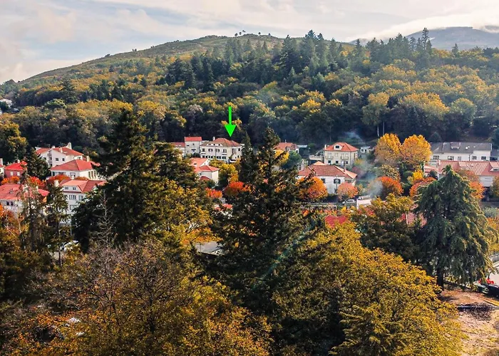 Forest דירה *