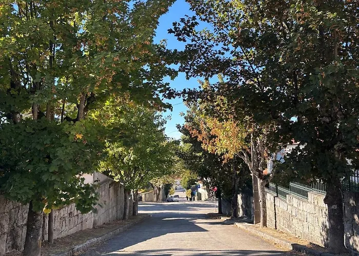 Forest דירה גובאיה